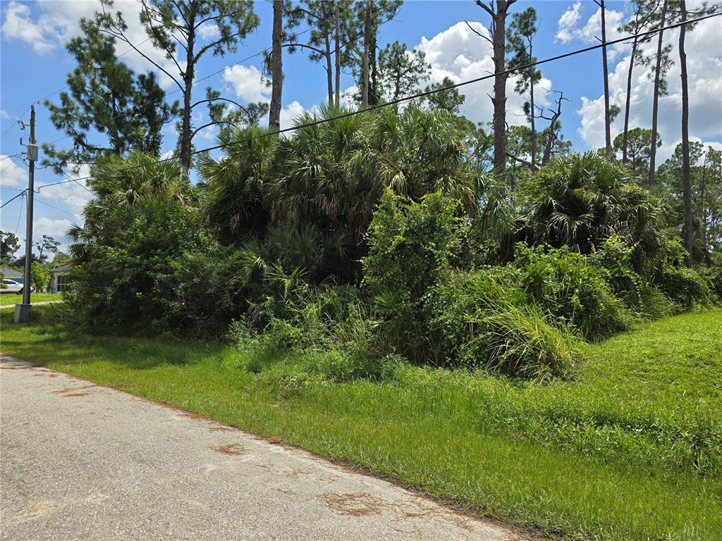 A vacant, overgrown lot with palm trees and tall grass sits beside a paved road — TRENTWOOD LANE, NORTH PORT, FL