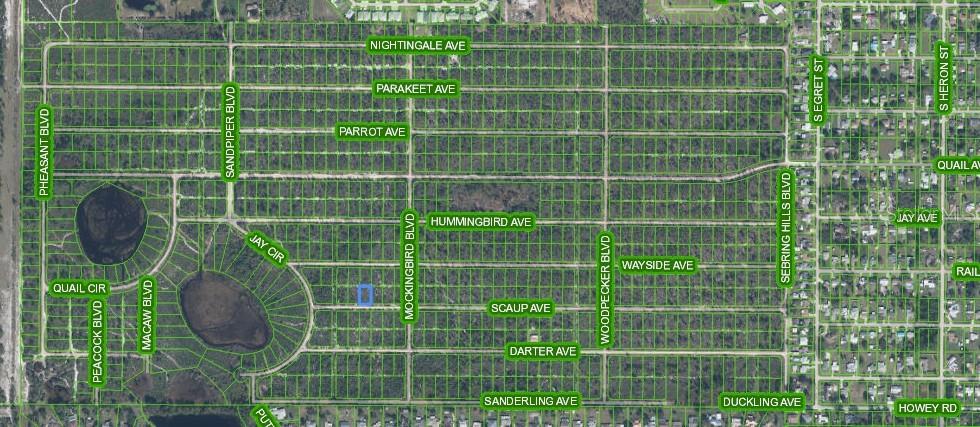 This is a satellite map view of a residential area with undeveloped, wooded land parcels — 612 SCAUP AVENUE, SEBRING, FL