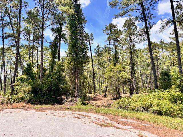 CHINABERRY WAY, EUSTIS, FL — photo 2 of 4