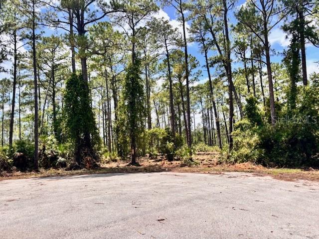 CHINABERRY WAY, EUSTIS, FL — photo 3 of 4