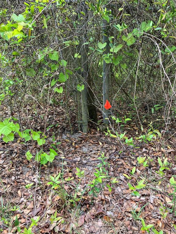 Two wooden posts stand in a wooded area with an orange survey marker attached — TBD Lot 58 SE 1ST LANE, SILVER SPRINGS, FL
