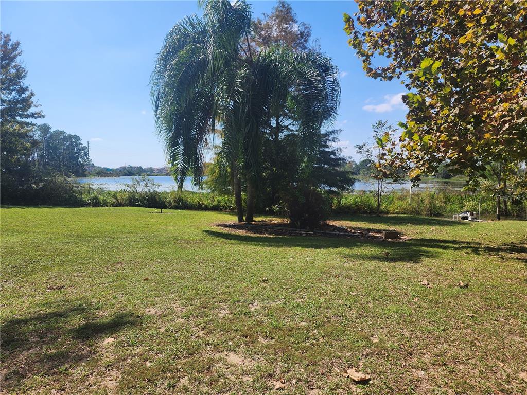 A grassy backyard features a large palm tree and a view of a lake — 14902 ARRENA ROAD, WINTER GARDEN, FL