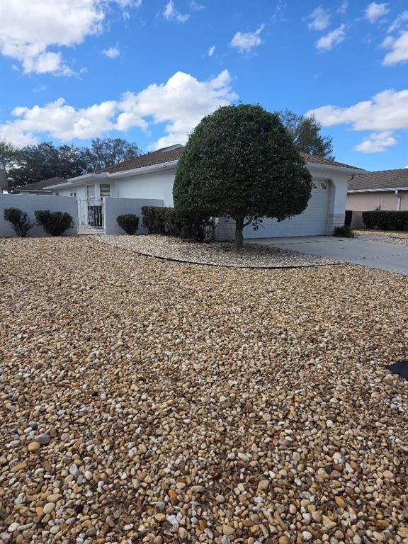 A single-story house with a white exterior, a gravel front yard, and a manicured tree — 9028 SW 91ST CIRCLE, OCALA, FL