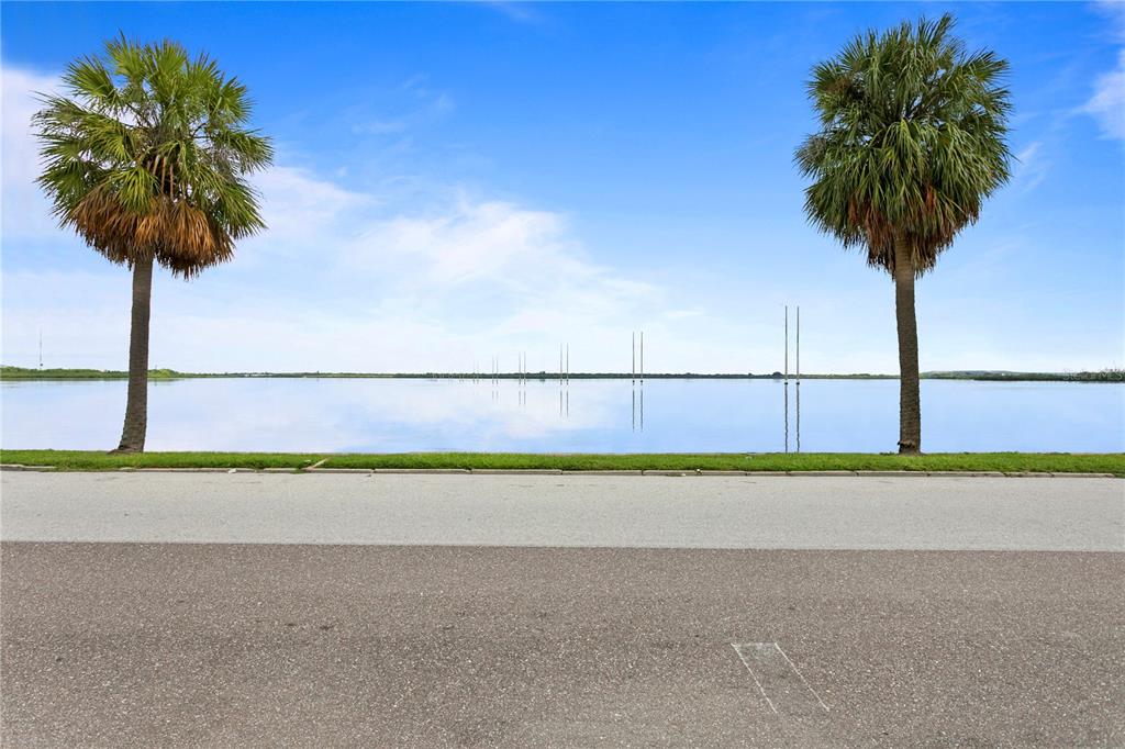 A view of a calm lake from a paved road framed by two palm trees — 1303 S BERMUDA BOULEVARD, TAMPA, FL