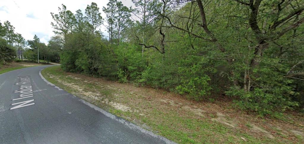 A paved road curves past a wooded, undeveloped lot with dense trees and brush — 4270 N INDIANRIVER DRIVE, HERNANDO, FL
