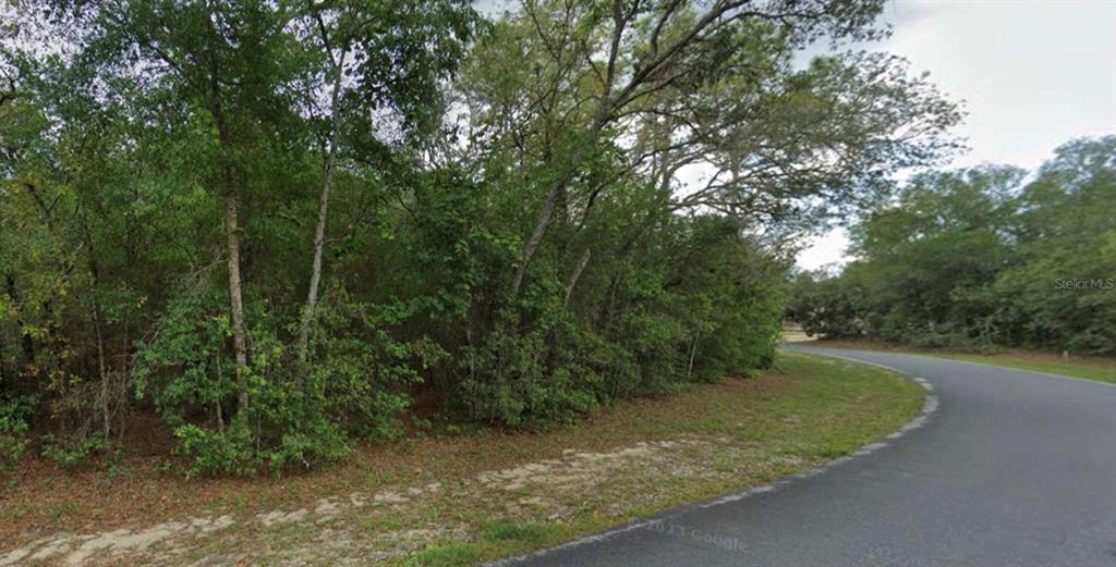 A paved road curves past a densely wooded, undeveloped lot with mature trees and shrubs — 4270 N INDIANRIVER DRIVE, HERNANDO, FL