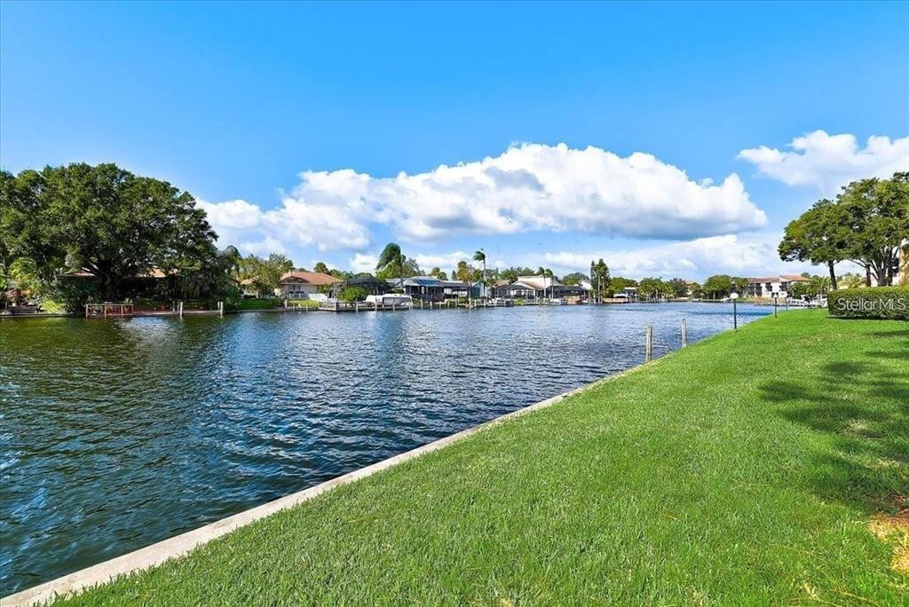 A grassy lawn borders a canal with houses and trees along the opposite bank — 6330 GRAND BAHAMA CIRCLE UNIT C, TAMPA, FL