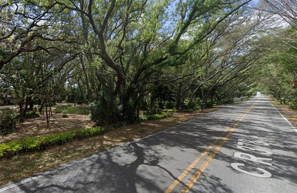 A paved road with a painted CR 378 sign runs alongside a wooded, grassy lot — 17144 PHIL C PETERS ROAD, WINTER GARDEN, FL