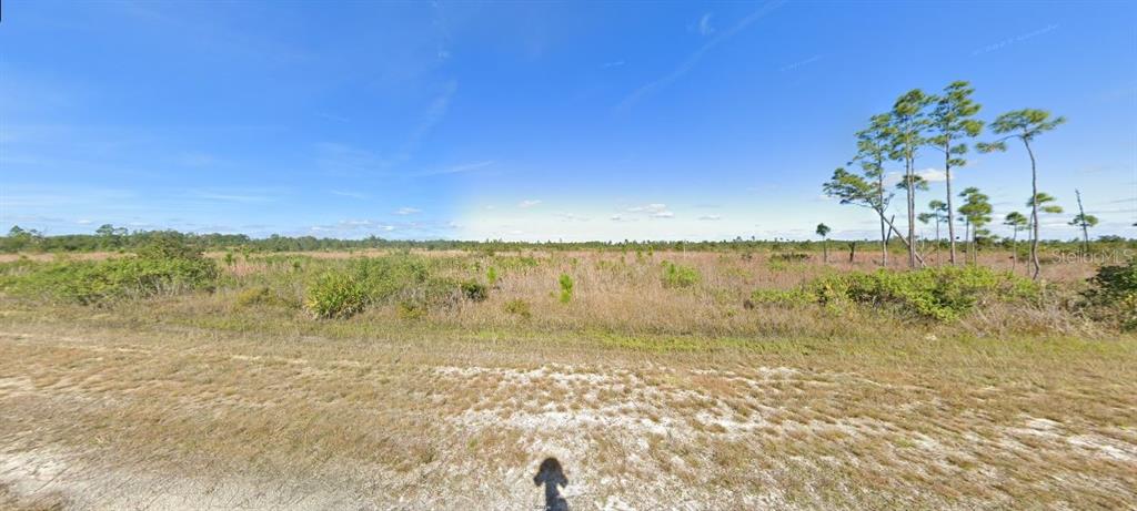 A wide, flat, grassy lot with scattered pine trees under a clear blue sky — 508 PORTULACA DRIVE, INDIAN LAKE ESTATES, FL