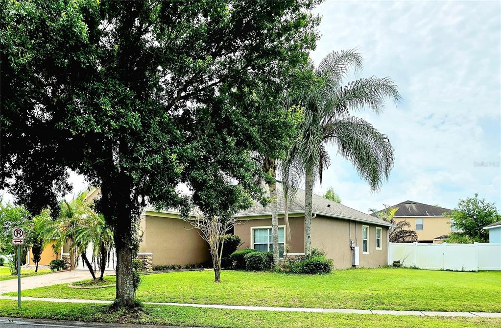 A single-story house with a tan exterior, a palm tree, and a large front yard — 1710 PLANTATION POINTE DRIVE, ORLANDO, FL