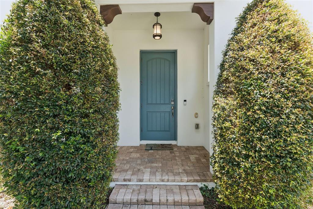 A blue front door is framed by two large bushes and a brick entryway — 8932 BISMARCK PALM DRIVE, WINTER GARDEN, FL