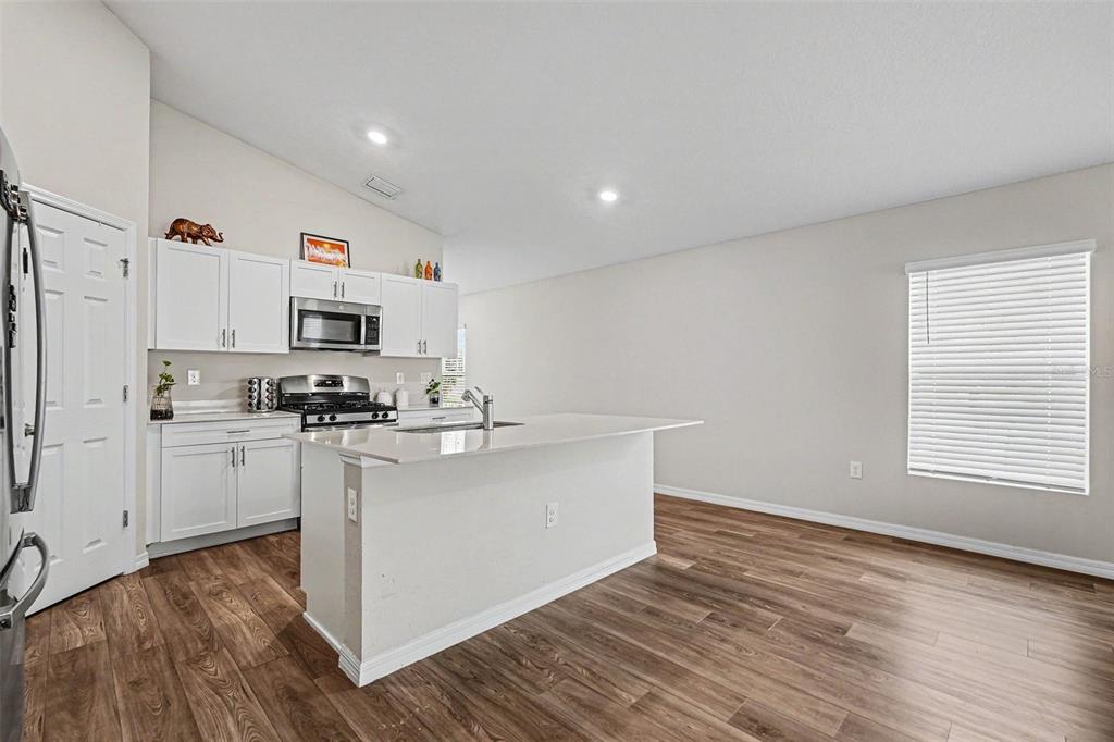A kitchen features white cabinets, a central island with a sink, and wood-look flooring — 14919 STERLING SPUR AVENUE, LITHIA, FL