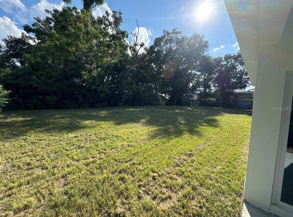 A grassy backyard is bordered by a line of mature trees under a sunny sky — 1226 36TH STREET, ORLANDO, FL