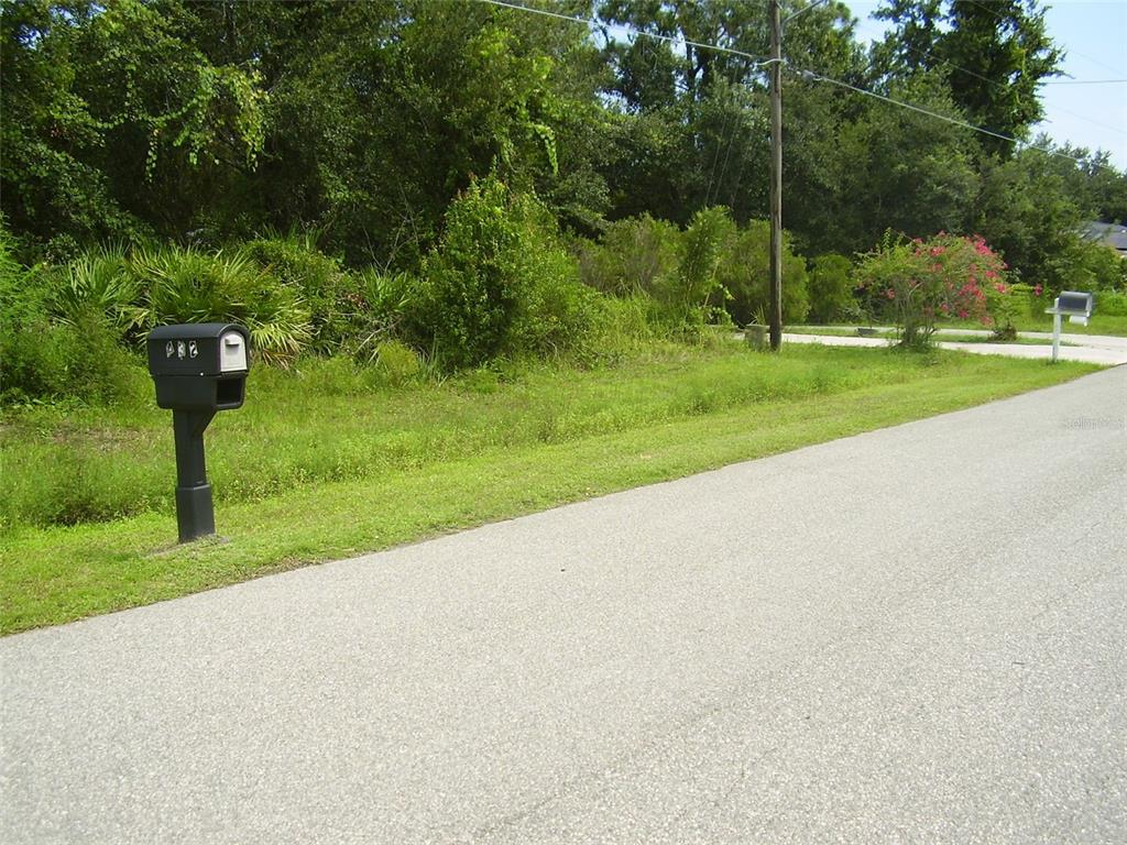 431 DOVE DRIVE