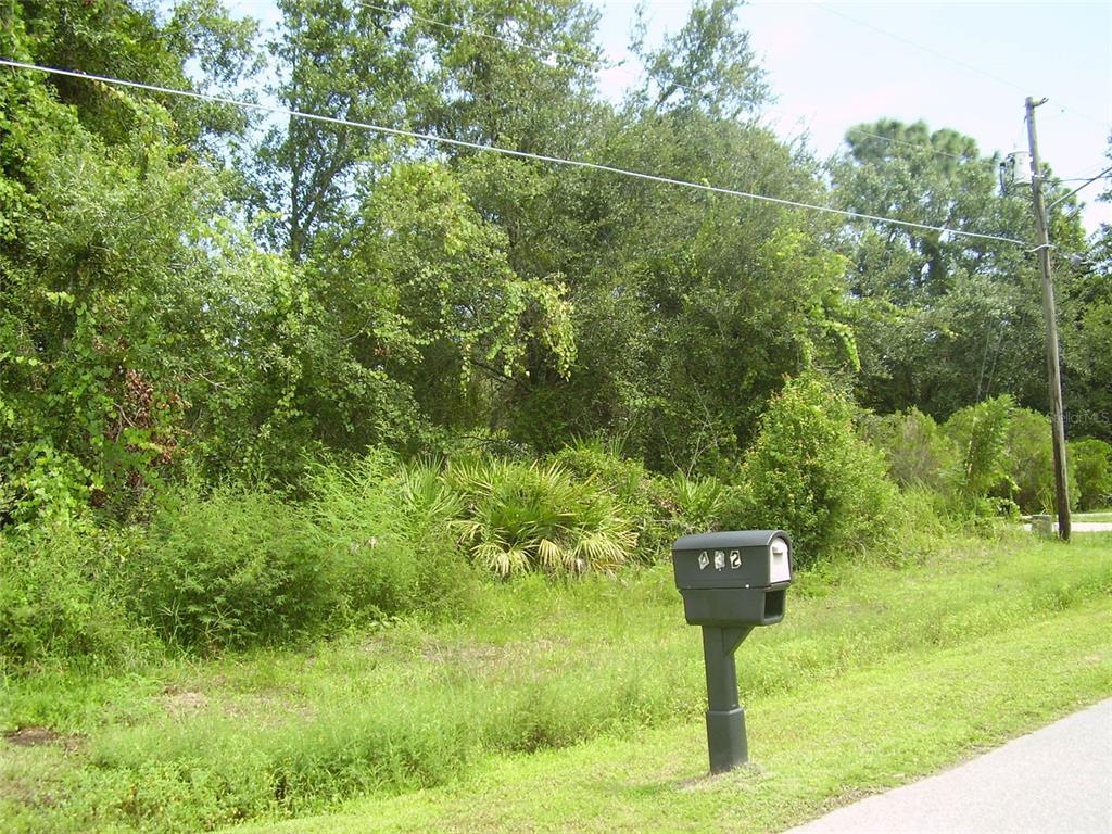 A mailbox stands in front of a densely wooded, undeveloped lot along a paved road — 431 DOVE DRIVE, KISSIMMEE, FL