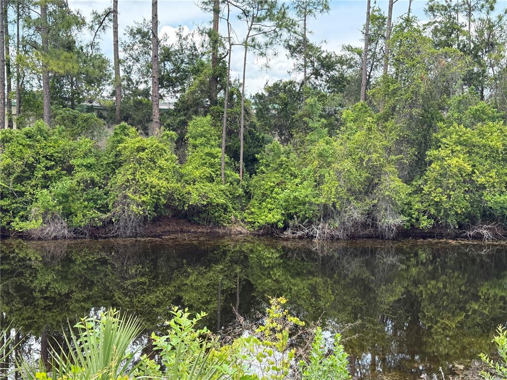 A calm pond reflects a dense line of trees and lush green vegetation — 33 WENDY LANE, PALM COAST, FL