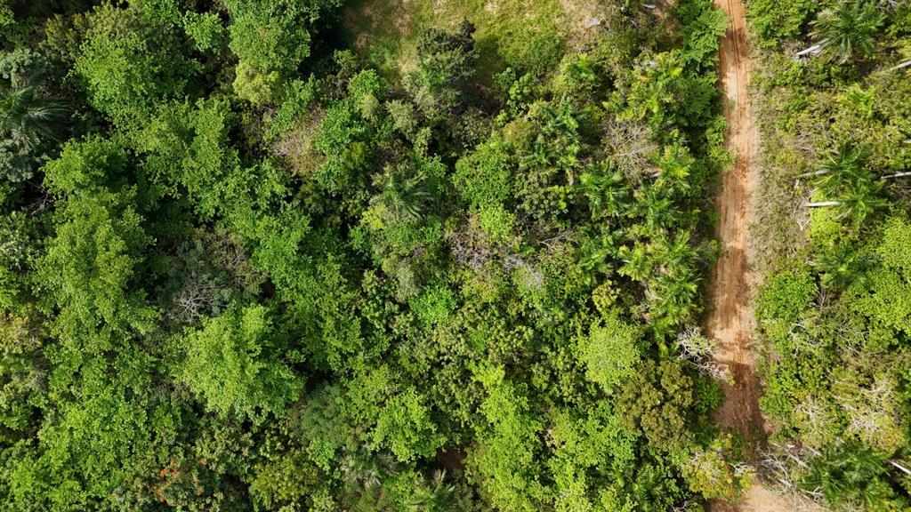 413 INT, RINCON, PR — photo 3 of 5
