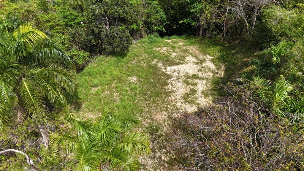413 INT, RINCON, PR — photo 4 of 5