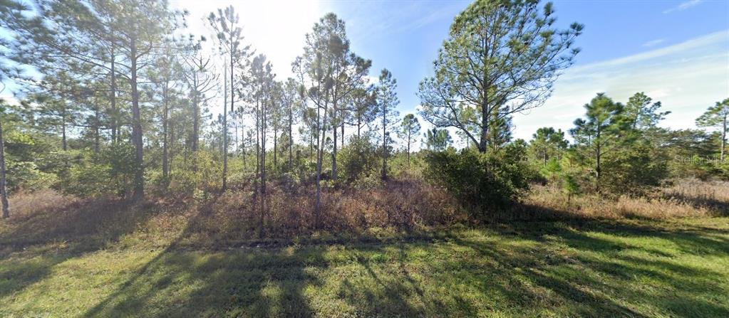 A grassy foreground leads to a wooded lot filled with pine trees and low brush — 411 ALLAMANDA DRIVE, INDIAN LAKE ESTATES, FL