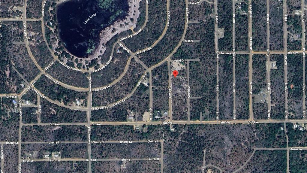 This is an aerial map view showing a vacant lot marked with a red pin — 116 TULIP AVENUE, INTERLACHEN, FL