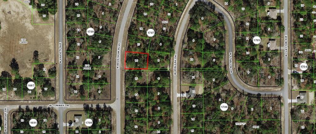 This is a satellite map showing a vacant residential lot outlined in red — 6680 N BEDSTROW BOULEVARD, DUNNELLON, FL