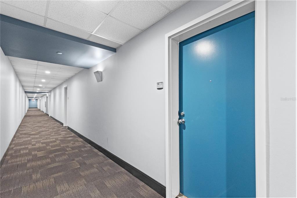 A long hallway with patterned carpet leads to a bright blue door on the right — 1120 E KENNEDY BOULEVARD UNIT 1124, TAMPA, FL