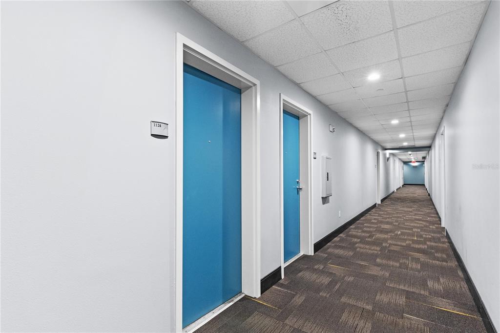 A long indoor hallway features blue doors, light gray walls, and patterned carpet flooring — 1120 E KENNEDY BOULEVARD UNIT 1124, TAMPA, FL