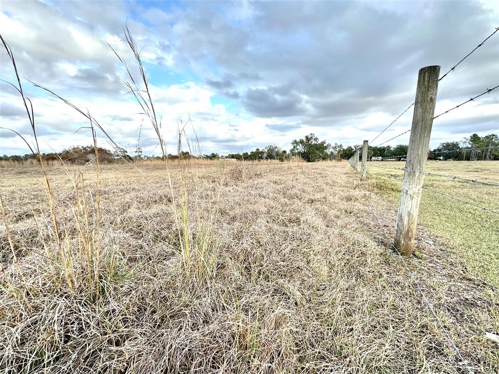 A barbed wire fence runs along the edge of a dry, grassy field under a cloudy sky — 14780 SUGAR BOWL ROAD, MYAKKA CITY, FL