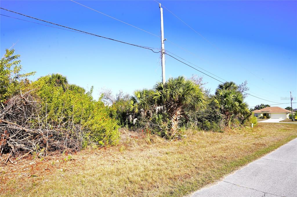 A vacant, grassy lot with palm trees and a utility pole beside a paved road — 142 SUNNY WAY, ROTONDA WEST, FL