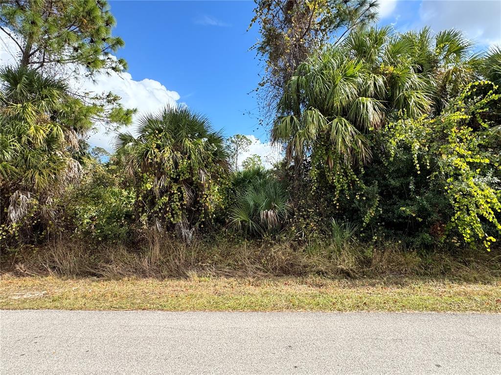 A paved road runs in front of a dense, wooded lot with various palm trees — SAPELO AVENUE, NORTH PORT, FL
