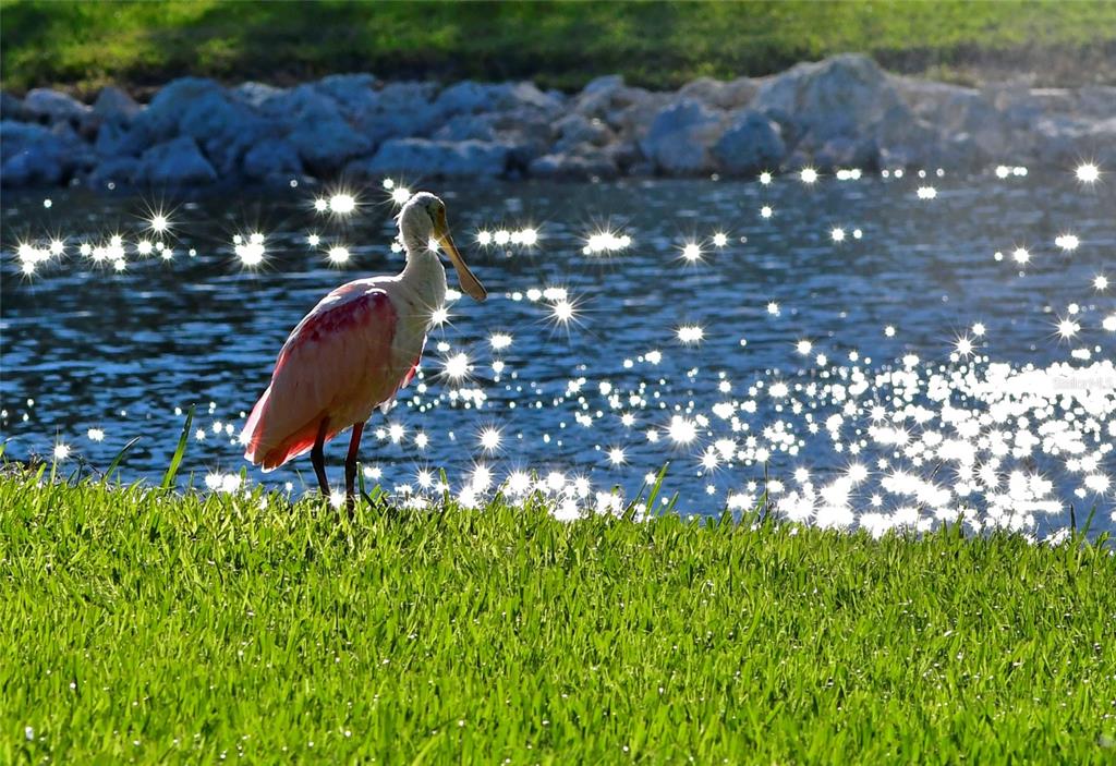 4726 POTOMAC CIRCLE, BRADENTON, FL — photo 5 of 30