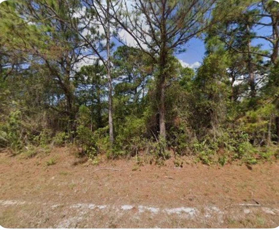 A wooded, undeveloped residential lot with pine trees and low-lying brush — 7383 TALLEY STREET, PORT CHARLOTTE, FL