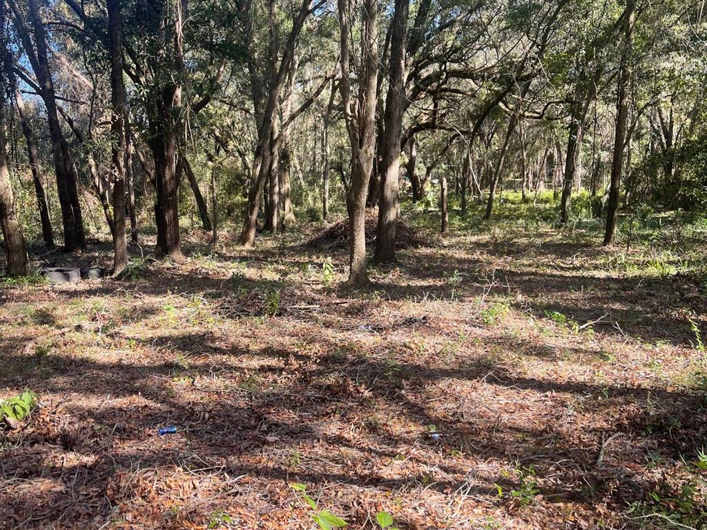 0 SE 130 STREET, BELLEVIEW, FL — photo 2 of 2
