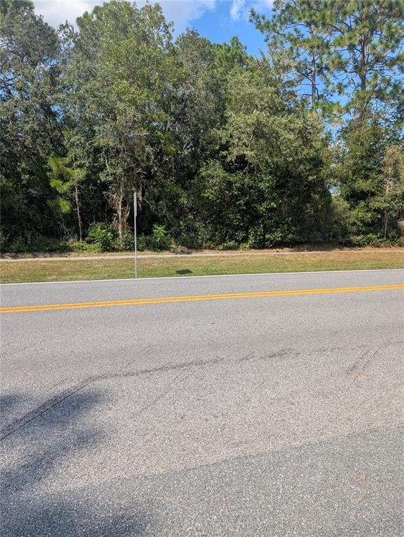 A paved road runs in front of a wooded lot with a grassy shoulder — 3515 W CENTURY BOULEVARD, CITRUS SPRINGS, FL
