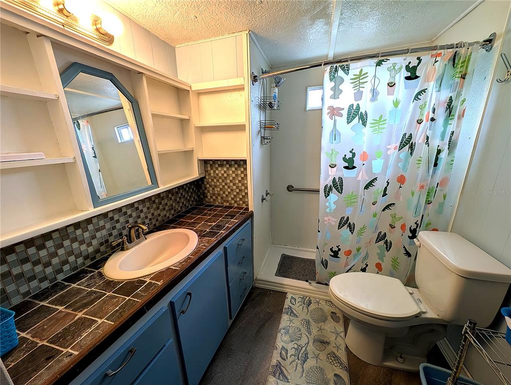 A bathroom features a blue vanity, tiled countertop, walk-in shower, and a cactus-print curtain — 7803 46TH AVENUE N UNIT 49, ST PETERSBURG, FL