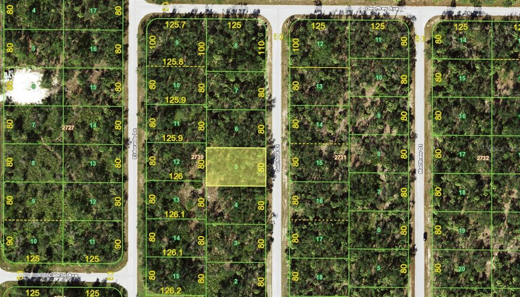 This is a map showing a highlighted vacant lot among other undeveloped residential parcels — 3097 GUILFORD STREET, PORT CHARLOTTE, FL