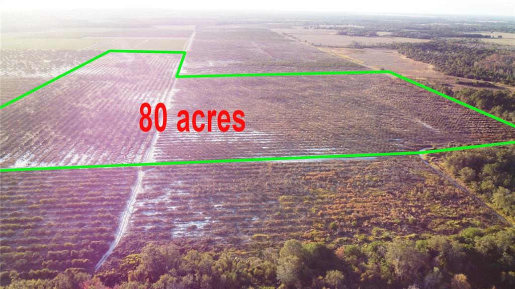 An aerial view shows a large, rectangular plot of land outlined in green — 627 RAULERSON ROAD, FROSTPROOF, FL