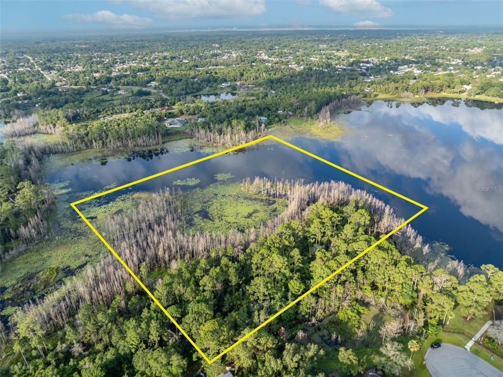 A view of a lake through a grassy field with many tall, thin pine trees — MELSHIRE AVENUE, DELTONA, FL