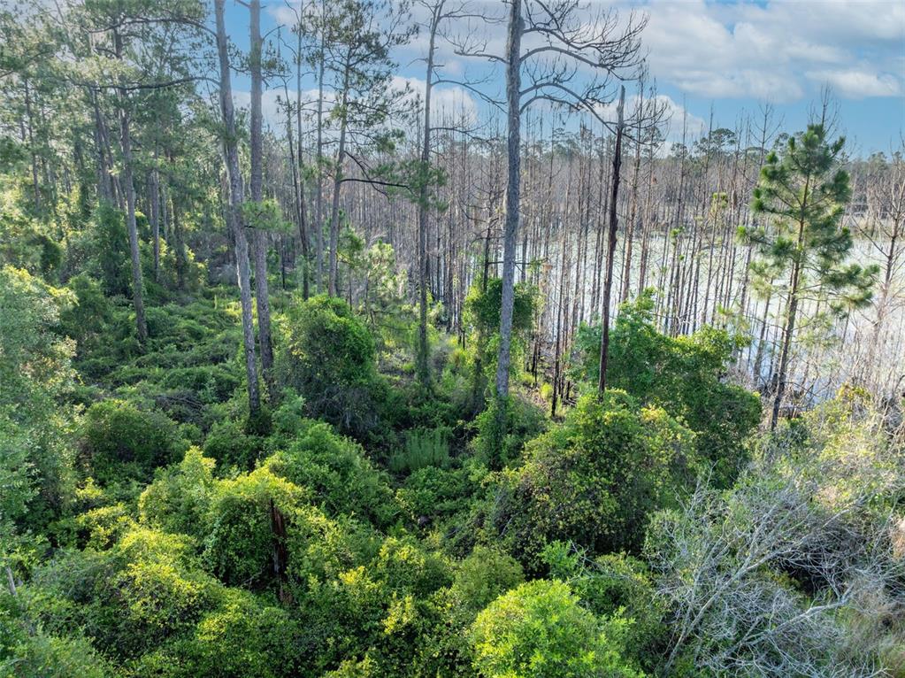 A grassy field with many dead trees leads to a blue lake under a cloudy sky — MELSHIRE AVENUE, DELTONA, FL