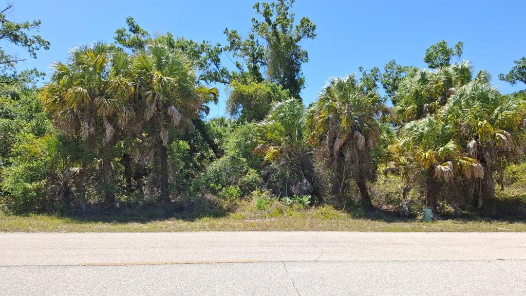 A paved road runs in front of a wooded lot filled with palm trees — 243 WARRINGTON BOULEVARD, PORT CHARLOTTE, FL