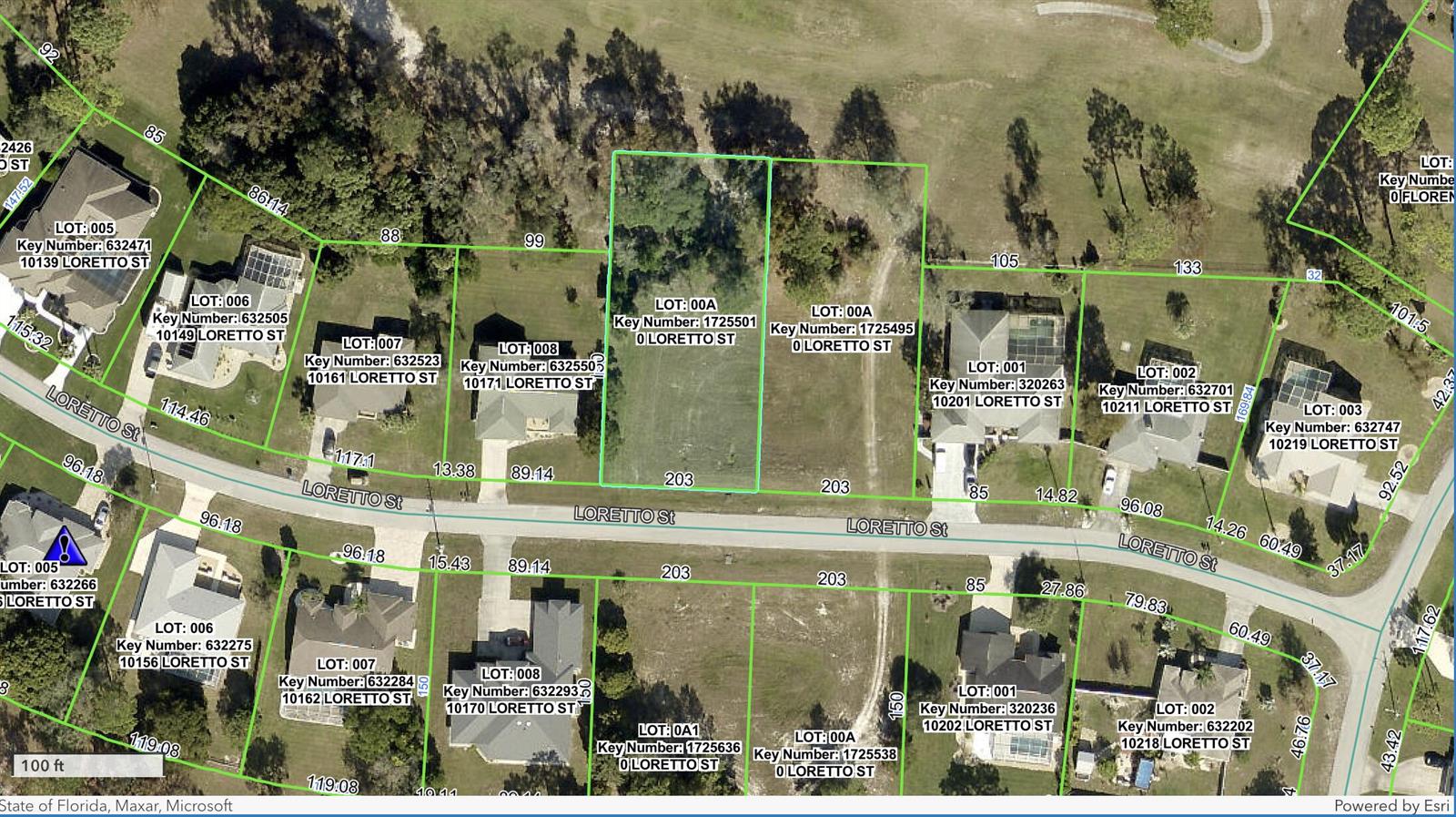 This is an aerial map showing property lot lines and parcel information for a residential neighborhood — 0 Tbd Loretto Lot 5 Street, Spring Hill FL 34608, SPRING HILL, FL