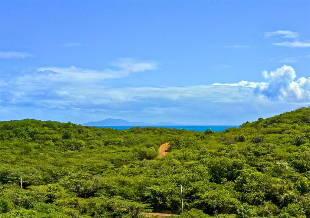 A dirt path winds through lush green vegetation toward the ocean and distant mountains — 10 SOUTHEAST HARBOUR ESTATES, CULEBRA, PR
