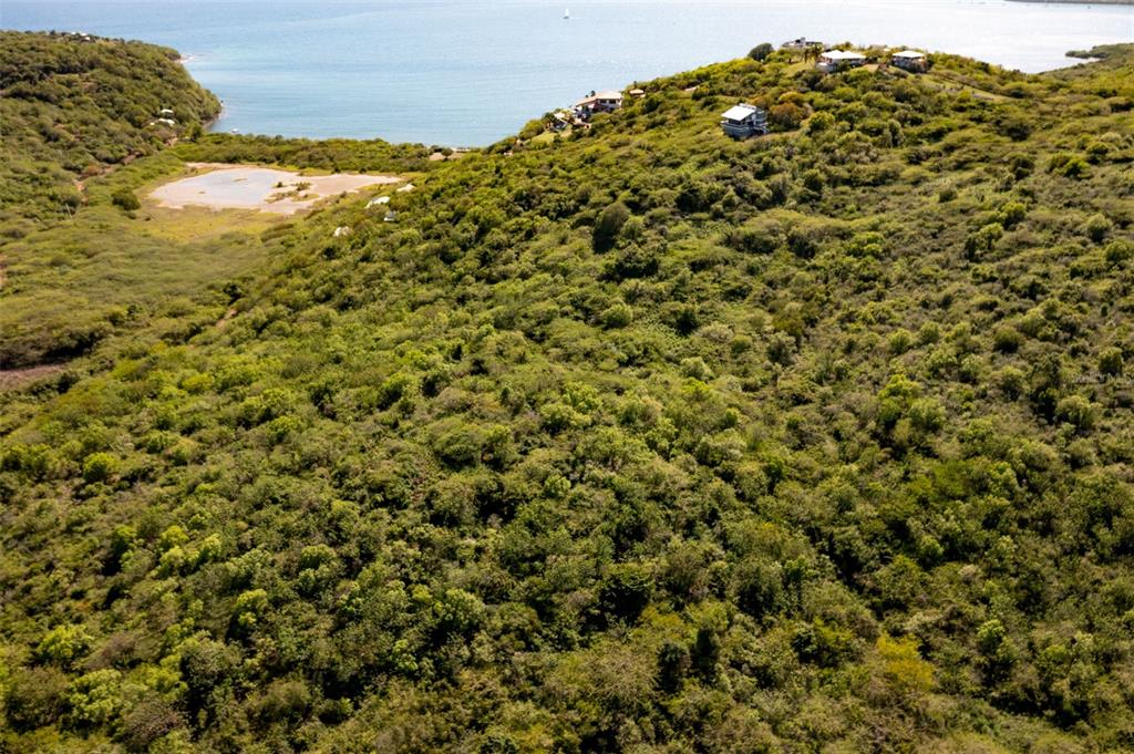 An aerial view shows a lush, hilly landscape sloping down toward a coastal bay — 10 SOUTHEAST HARBOUR ESTATES, CULEBRA, PR