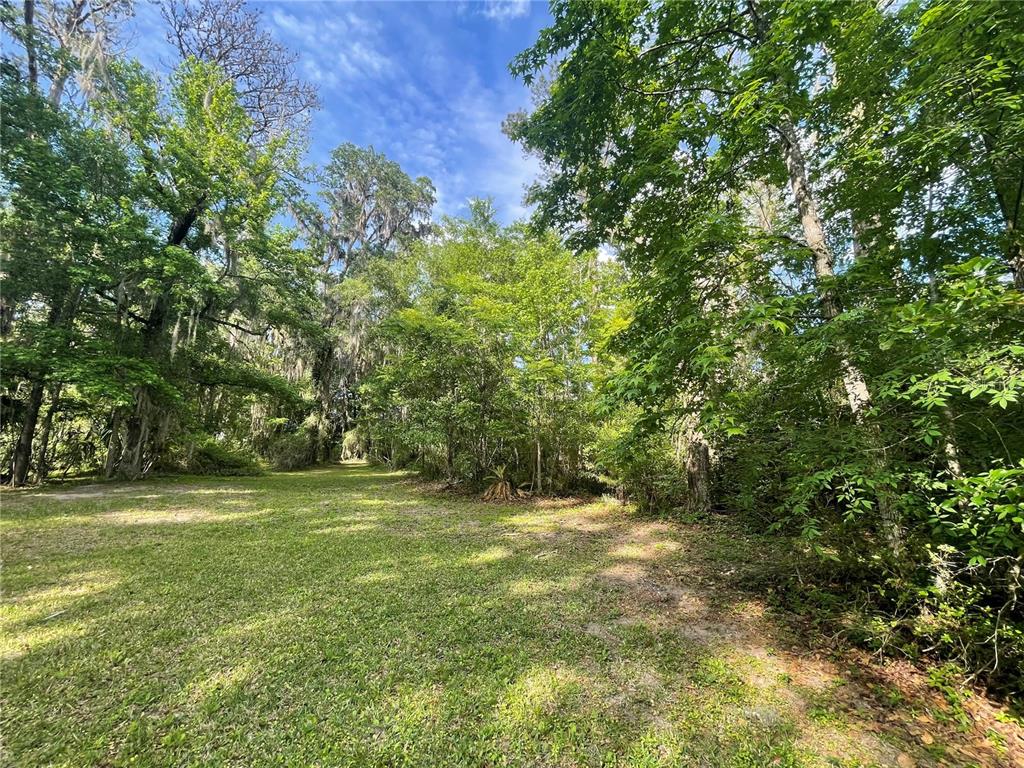 A grassy clearing is surrounded by dense trees and foliage under a blue sky — TBD NW 46TH STREET, OCALA, FL