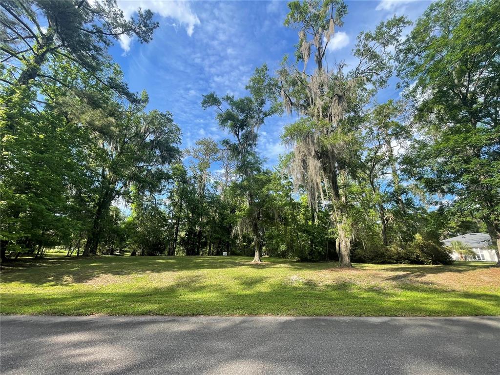 A grassy, wooded vacant lot sits along a paved road under a blue sky — TBD NW 46TH STREET, OCALA, FL