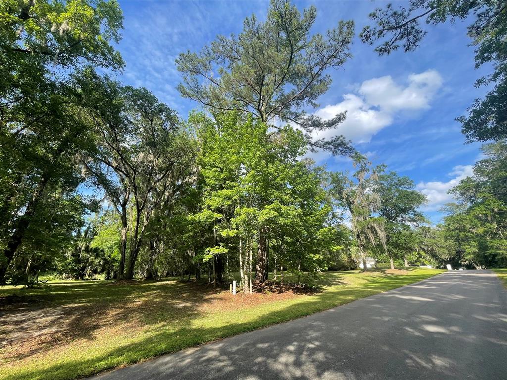 A paved road runs alongside a grassy, wooded lot with mature trees and Spanish moss — TBD NW 46TH STREET, OCALA, FL