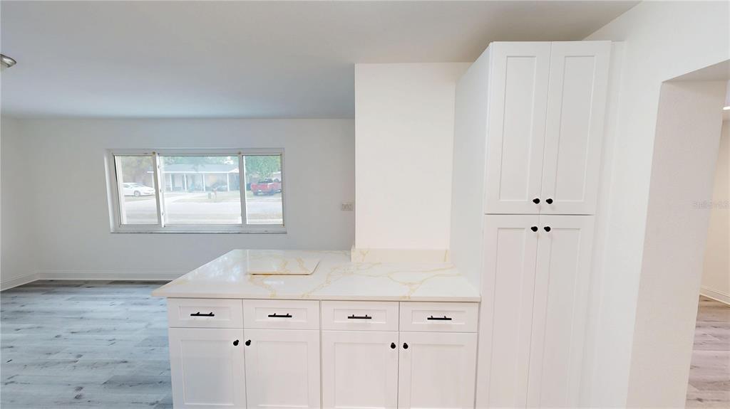 A kitchen features white cabinets, a marble-patterned countertop, and a view of a street — 4421 GANDY CIRCLE, TAMPA, FL