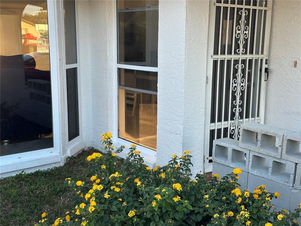 A white exterior wall features a window and a security door beside yellow flowering bushes — 3340 WILSON DRIVE, HOLIDAY, FL