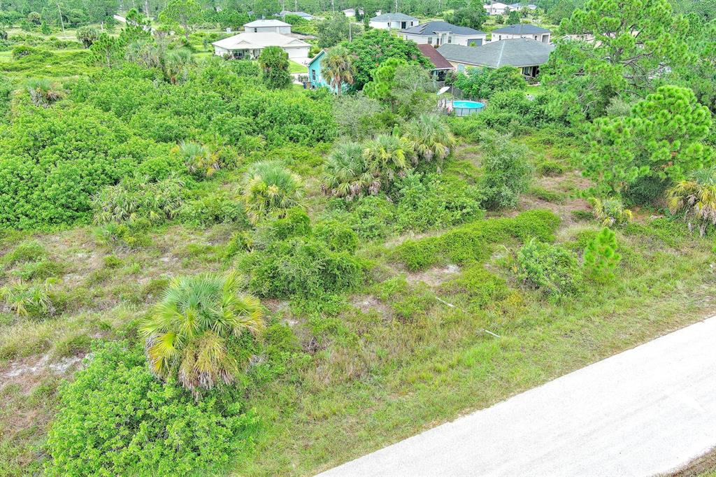 An aerial view shows a vacant, overgrown residential lot adjacent to a paved road — 928 NORFOLK AVENUE S, LEHIGH ACRES, FL