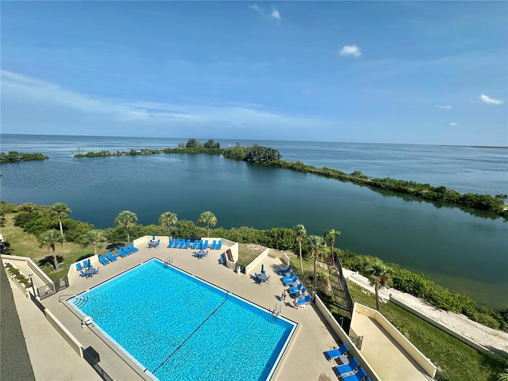 An elevated view of a swimming pool overlooking a bay with palm trees and vegetation — 6009 SEA RANCH DRIVE UNIT 707, HUDSON, FL